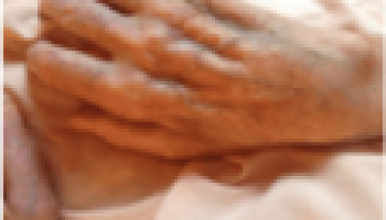 image 7 image 7